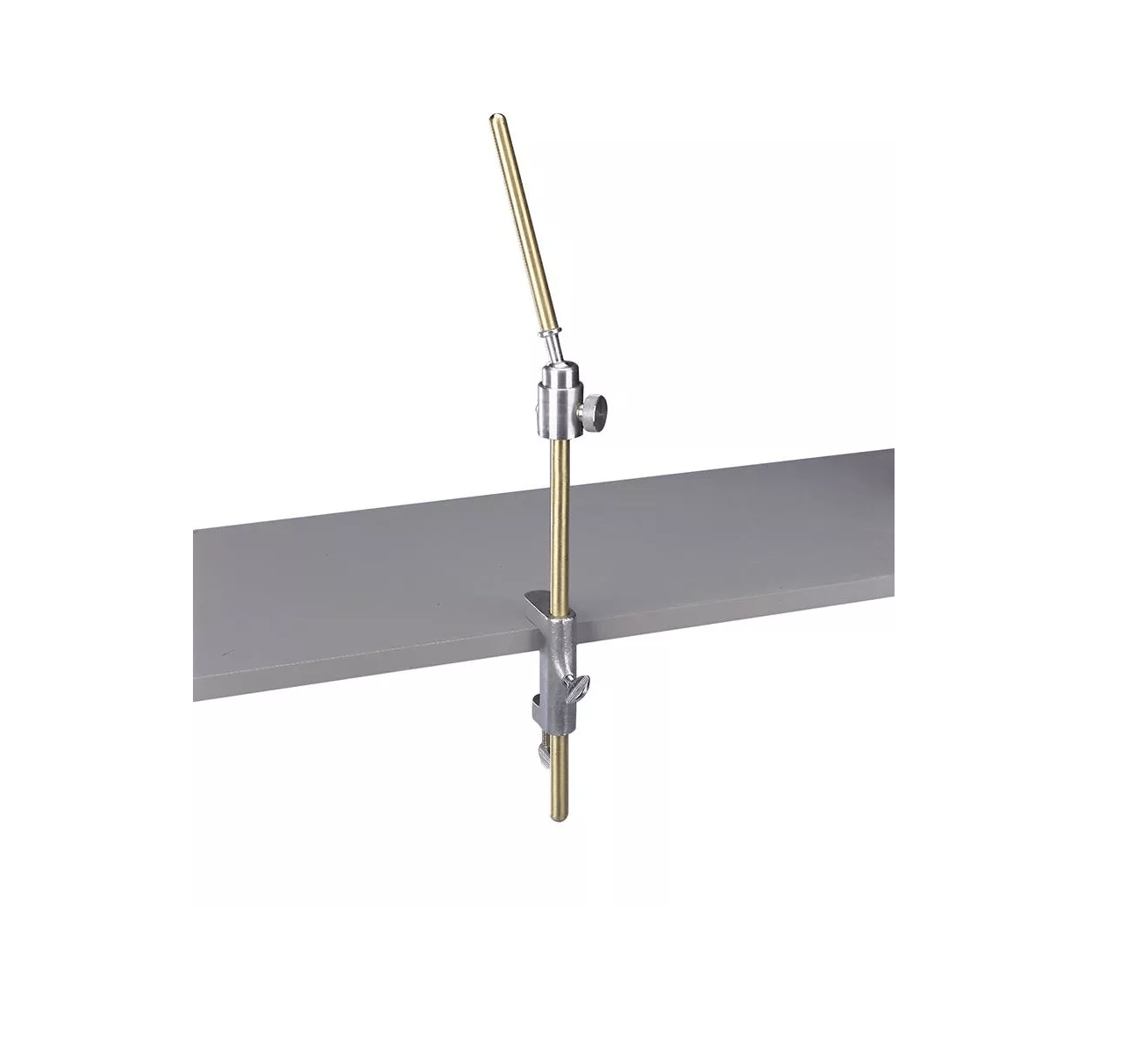 Tischklemme für die Dentalpuppe - Erler - Zimmer